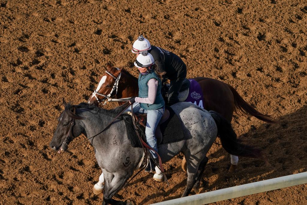 Aerial view of Michelle Lovell ponying on Elwood.  (Eclipse Sportswire)