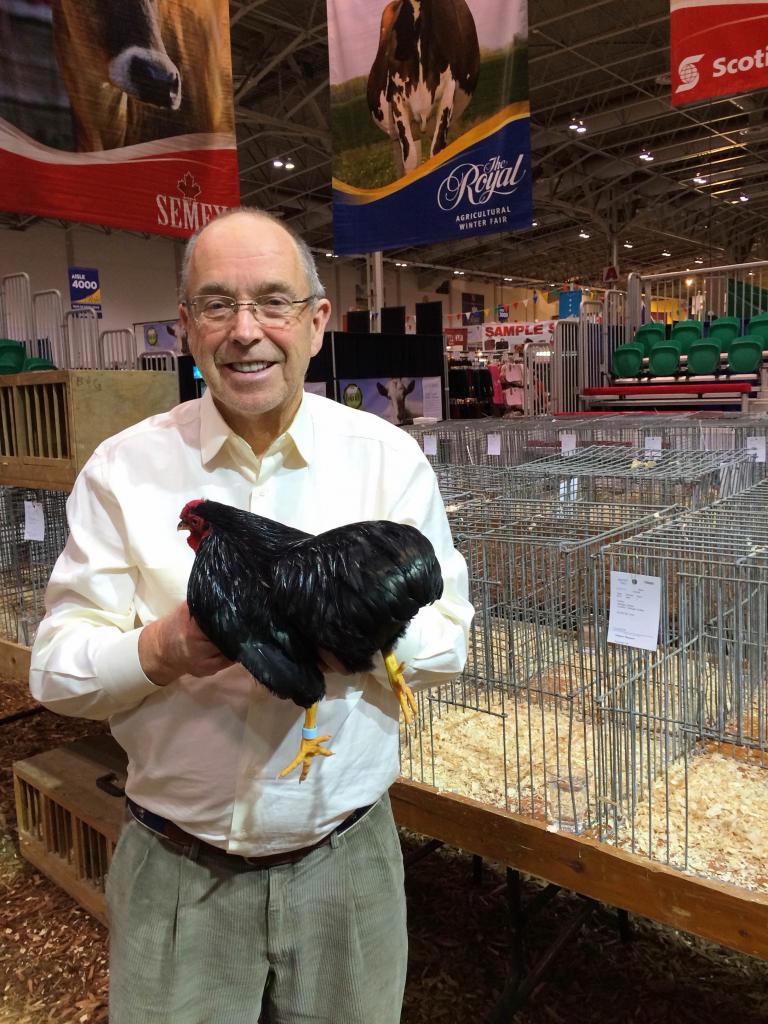 Baker with Black Rosecomb Cockeral, grand champion bantam at the Royal Winter Fair Poultry Show. (Courtesy of Janis Maine)
