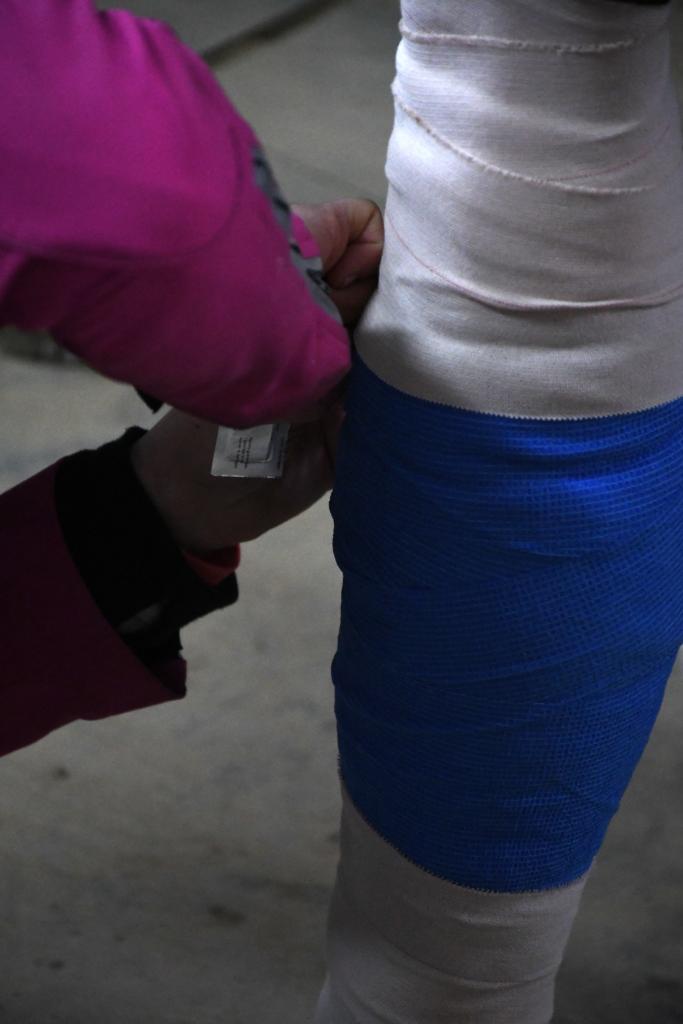 The final step is to cut a slit in the back of the bandage to help take some of the pressure off the leg. (Melissa Bauer-Herzog/America's Best Racing)