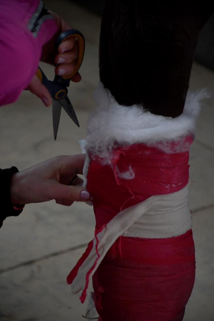 Cutting off the original bandage. (Melissa Bauer-Herzog/America's Best Racing)