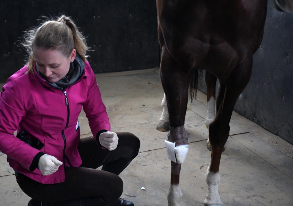 The first layer of the new bandage. (Melissa Bauer-Herzog/America's Best Racing)