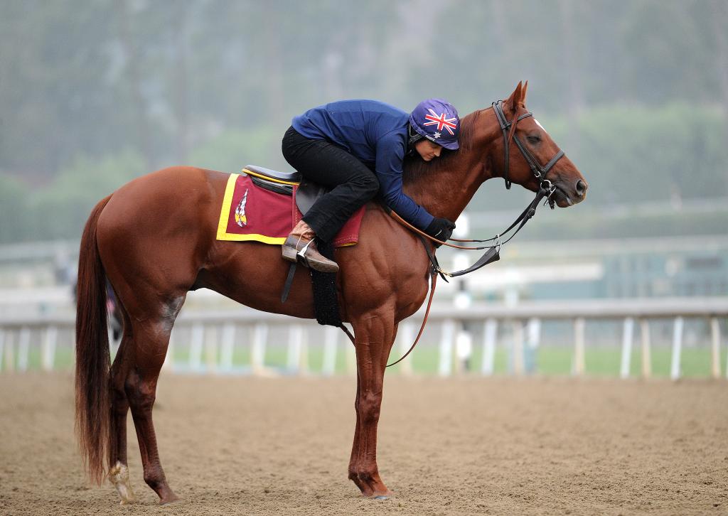 Brother Francis gets a hug from his exercise rider. (Eclipse Sportswire)