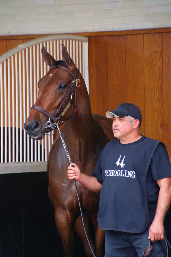 Chocolate Martini schooling at Churchill. (Julie June Stewart photo)