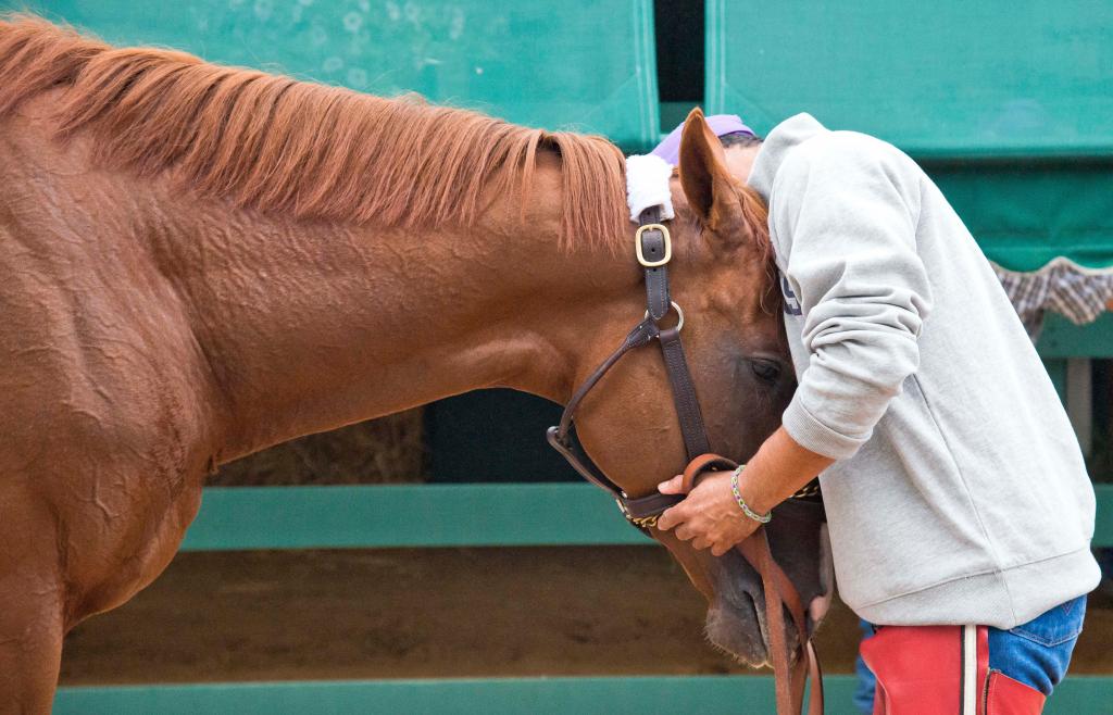 California Chrome gets a hug. (Eclipse Sportswire)