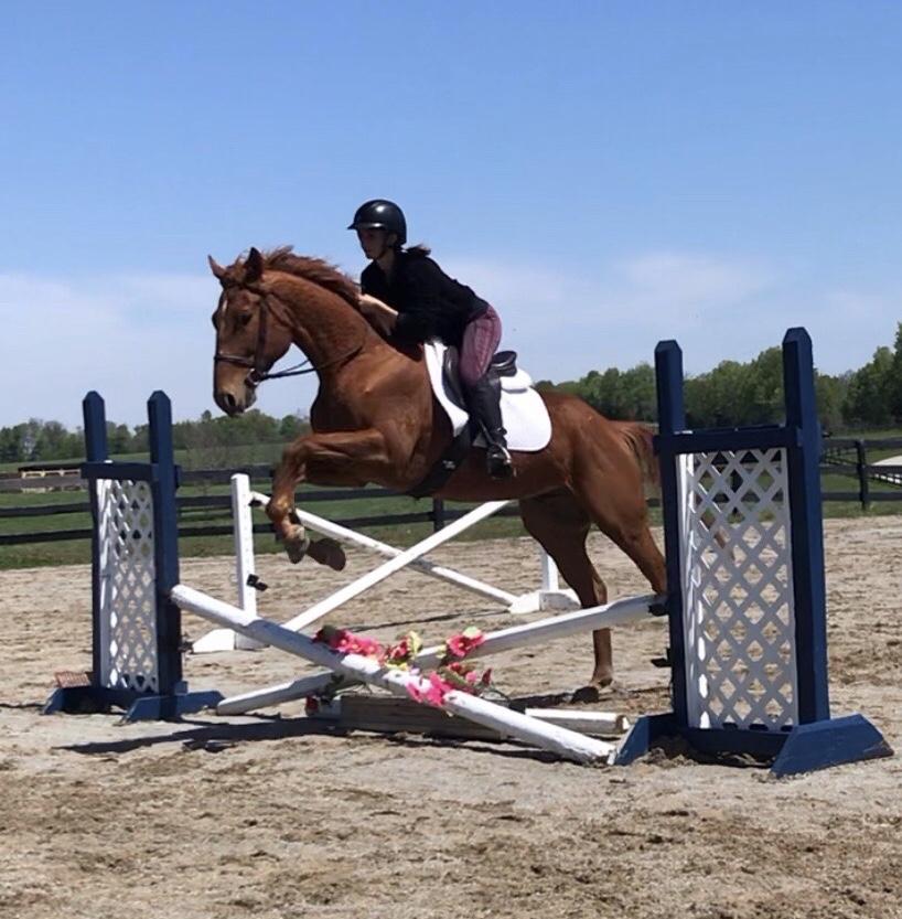 Their first ride together (again). Said Fada: The trust he has is incredible, as it was his first time jumping.  (Courtesy of Kirsten Fada)