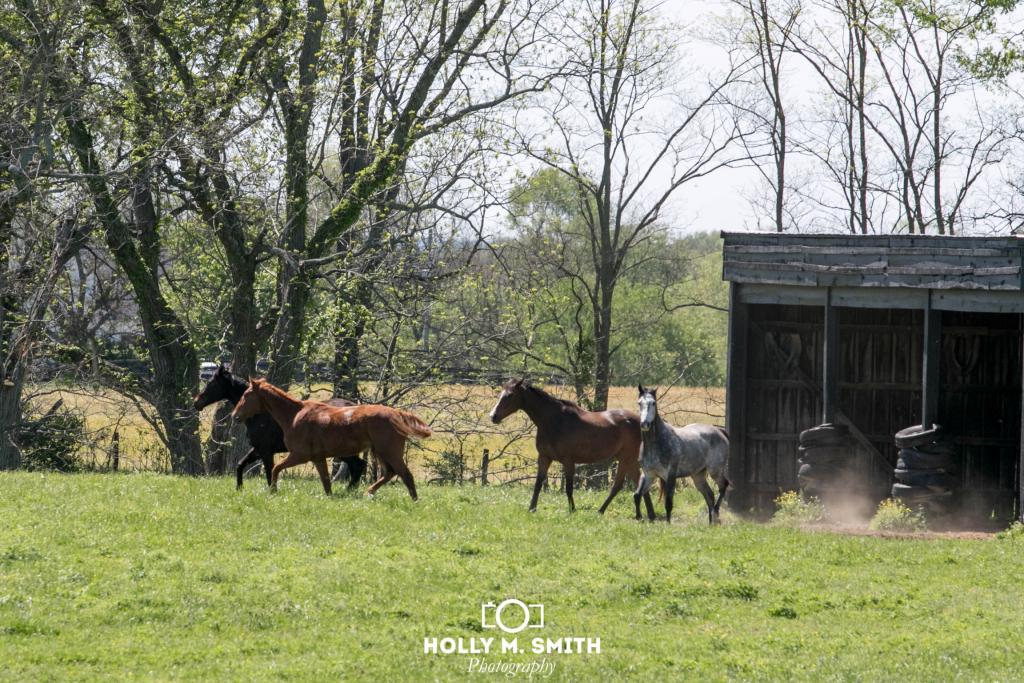 Inked back home in Kentucky. (Holly M. Smith Photography)