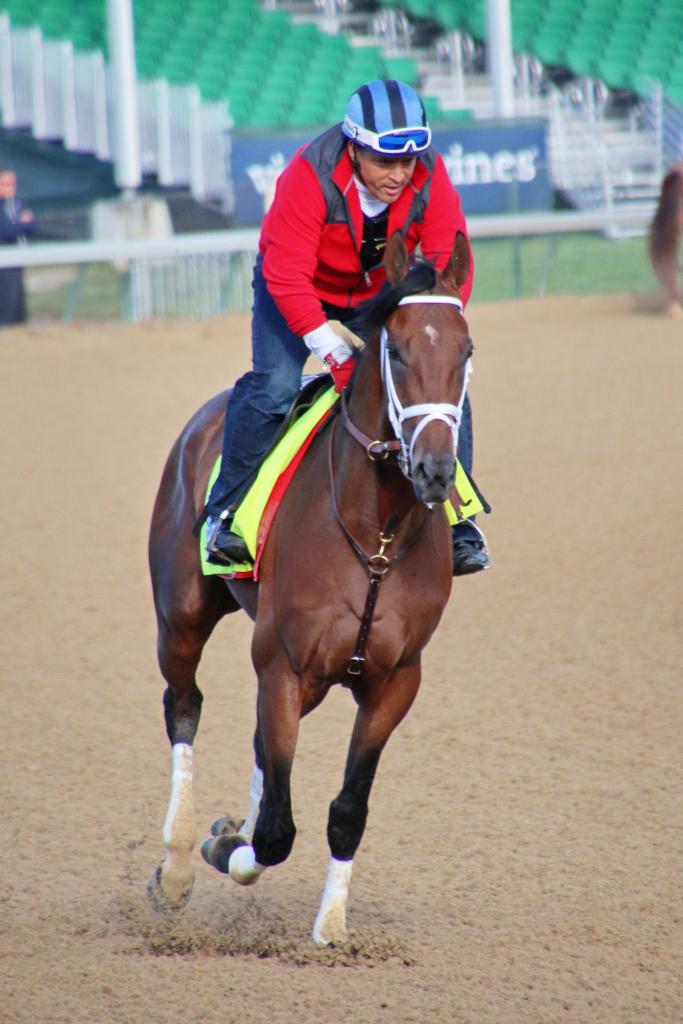 Heading out to the track in the morning. (Julie June Stewart photo)