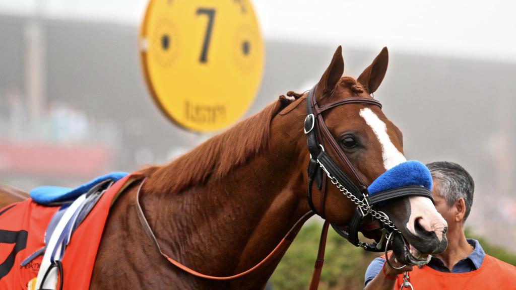 Penelope P. Miller/America's Best Racing