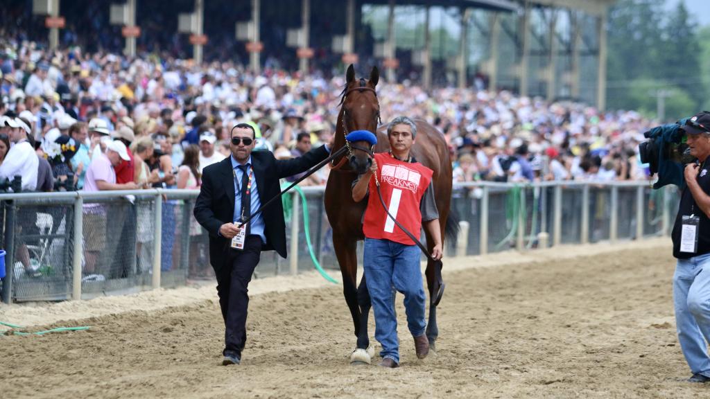 Penelope P. Miller/America's Best Racing