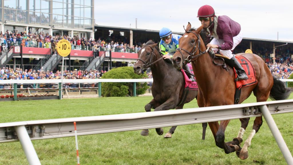 Penelope P. Miller/America's Best Racing