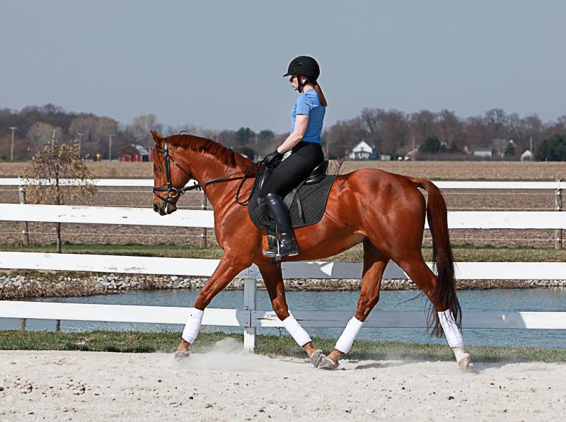 Courtesy of Laura Vorwerk and Margie Shoop Photography