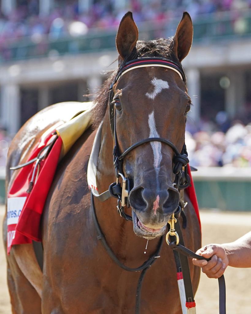 Played Hard after winning the La Troienne Stakes Presented by Twinspires. (Eclipse Sportswire)