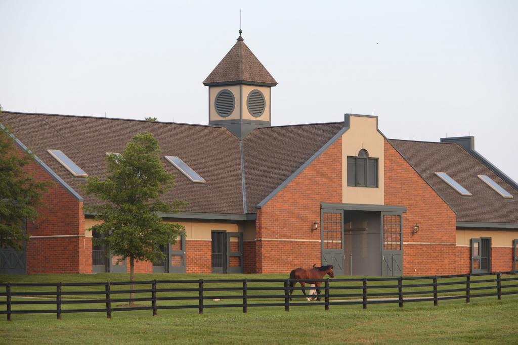 Photo courtesy of Godolphin