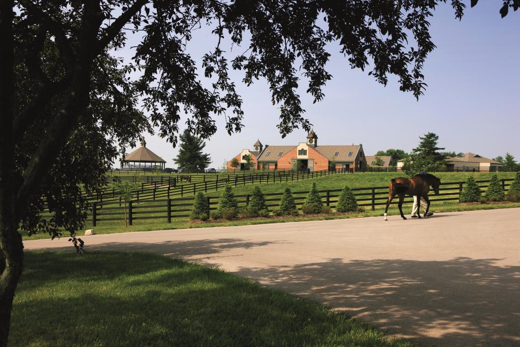 Photo courtesy of Godolphin