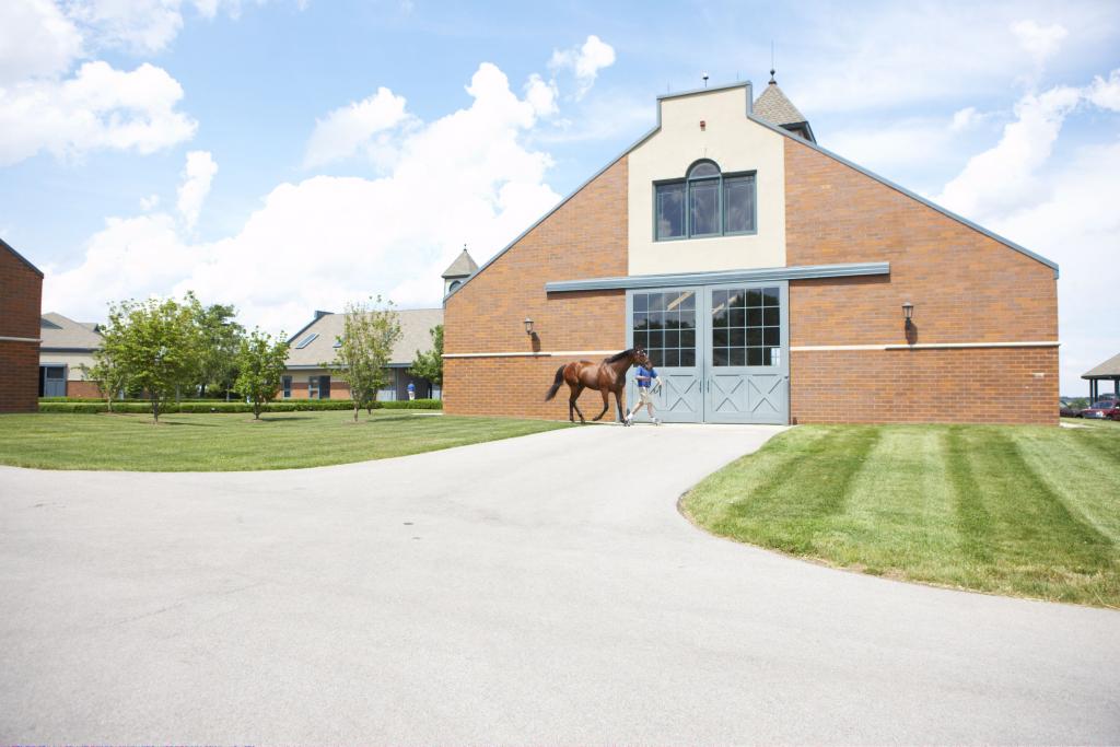 Photo courtesy of Godolphin