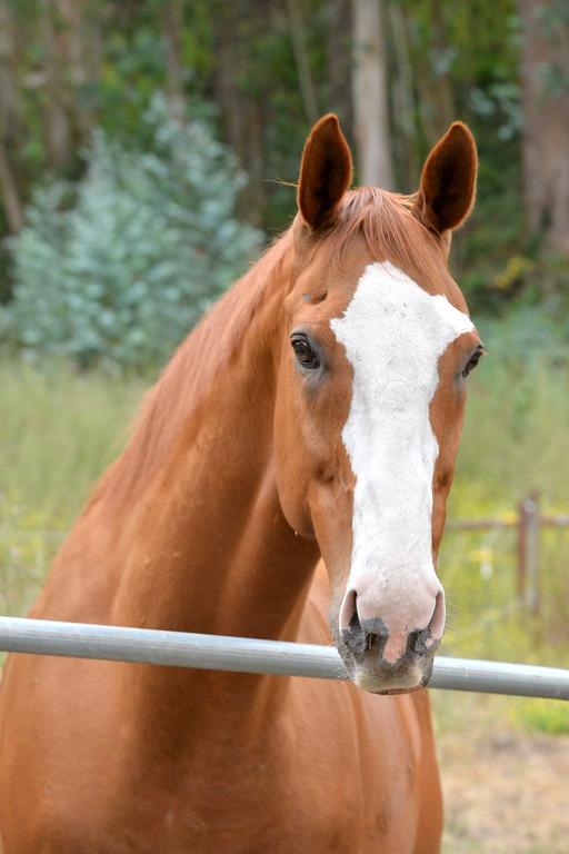 Kyle. (Square Peg Foundation/Robyn Peters Photography )