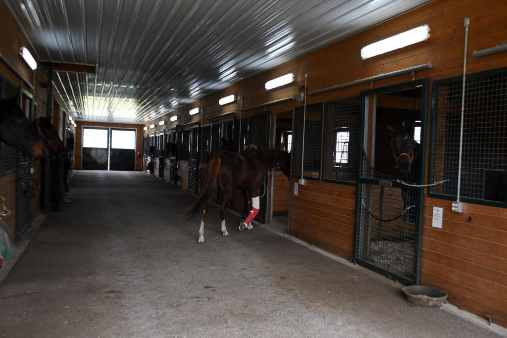 Arrival of London House at New Vocations’ Kentucky facility. (Melissa Bauer-Herzog/America's Best Racing)