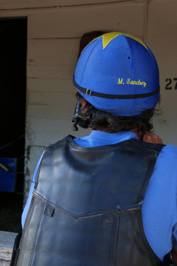 Maurice at the barn. (Julie June Stewart photo)