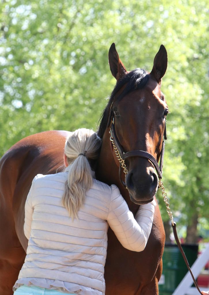 Jill Baffert gives American Pharoah a hug. (Eclipse Sportswire)