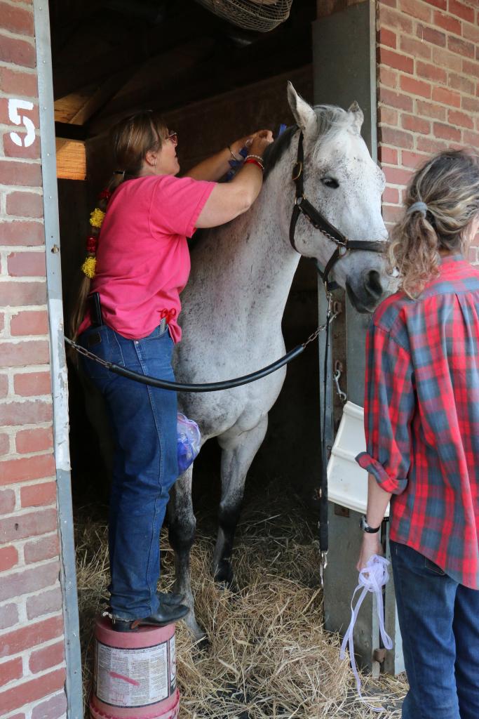 Standing on a bucket to braid Liberty Bull's mane.  