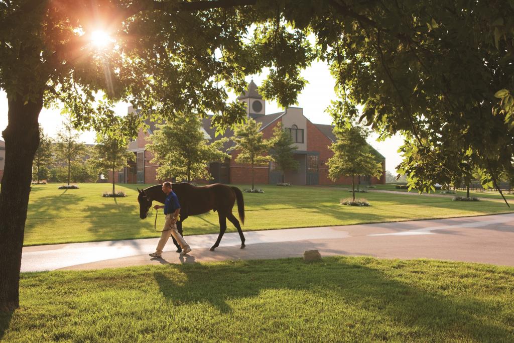 Street Sense takes a stroll. (Photo courtesy of Godolphin)