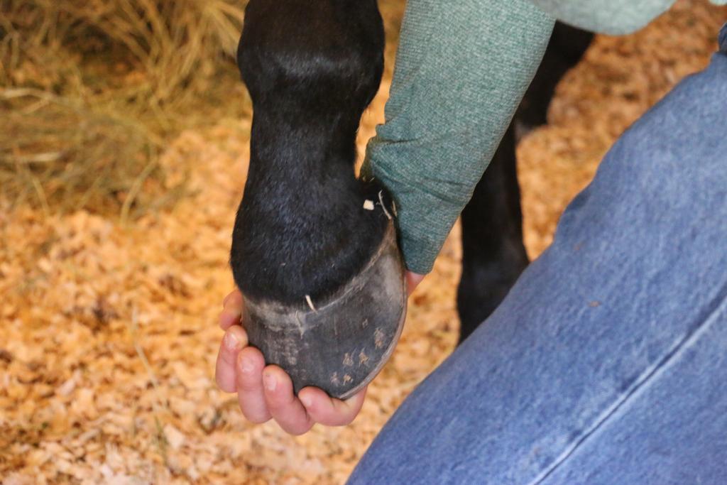 Stretching. (Julie June Stewart photo) 