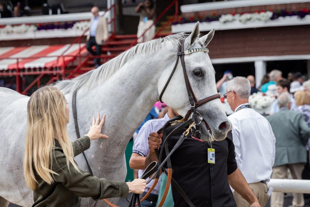 Whitney Stakes winner Arthur’s Ride (Walter Wlodarczyk/NYRA)