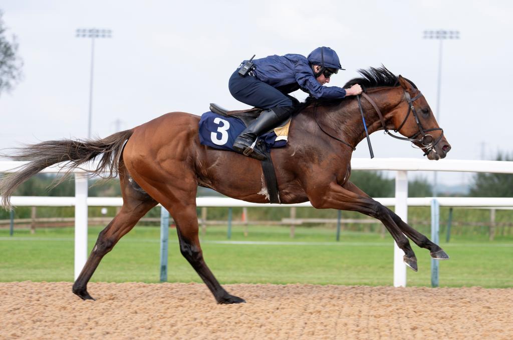English Derby winner City of Troy, son of 2018 Triple Crown winner Justify (Edward Whitaker/Racing Post)