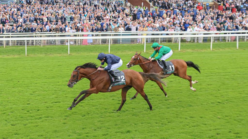 English Derby winner City of Troy, son of 2018 Triple Crown winner Justify (Eclipse Sportswire)
