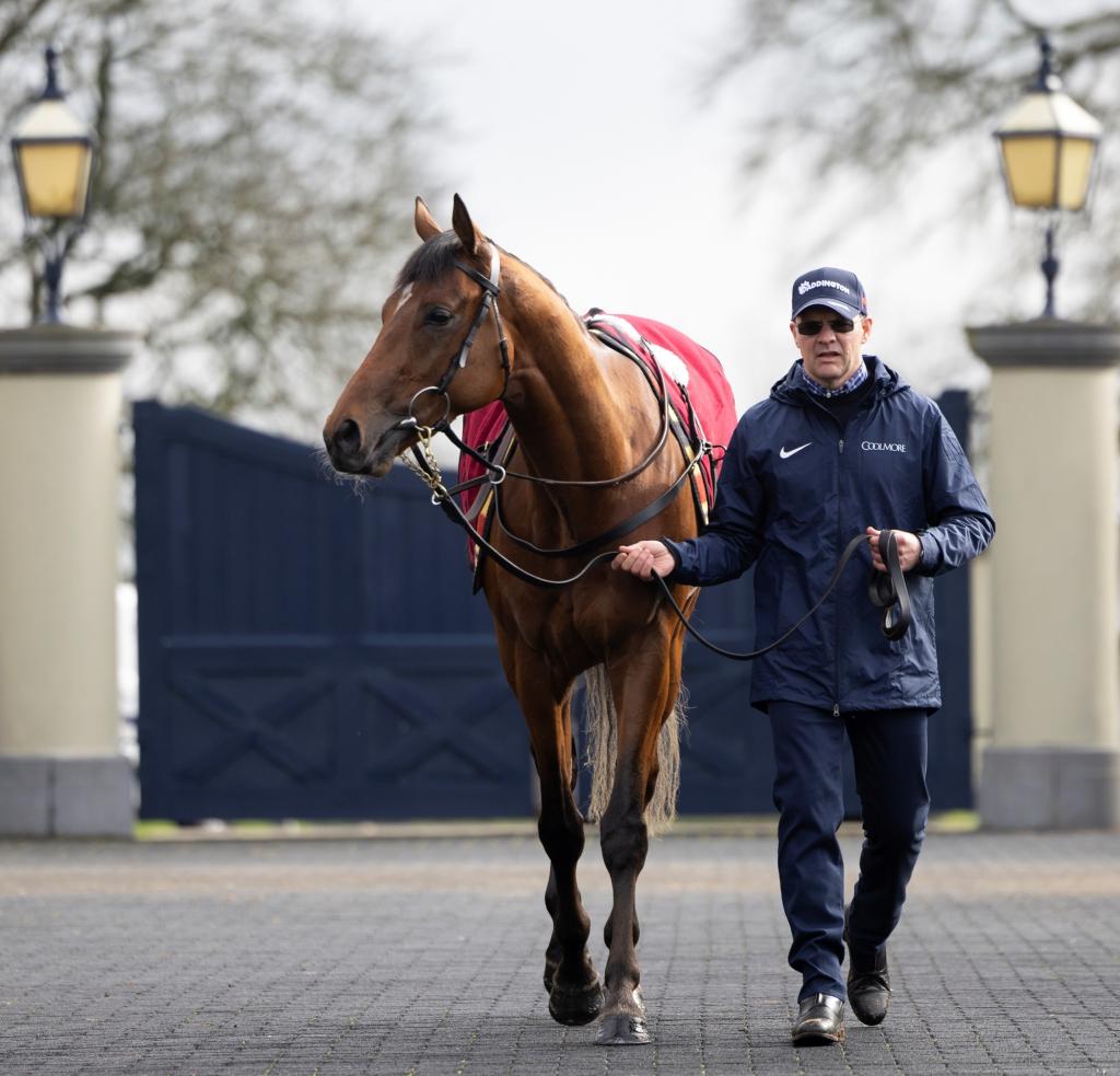 City of Troy with trainer Aidan O’Brien (Patrick McCann/Racing Post)