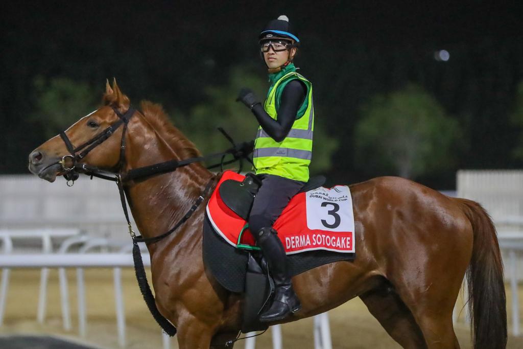 Derma Sotogake, second in the 2023 Longines Breeders’ Cup Classic (Eclipse Sportswire)