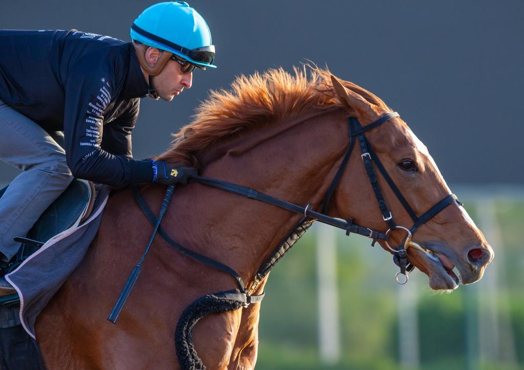 Derma Sotogake, second in the 2023 Longines Breeders’ Cup Classic (Erika Asmussen/Jockey Club of Saudi Arabia)