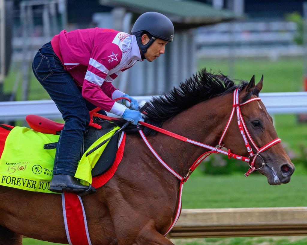 Kentucky Derby Presented by Woodford Reserve third-place finisher Forever Young (Anne M. Eberhardt/BloodHorse)