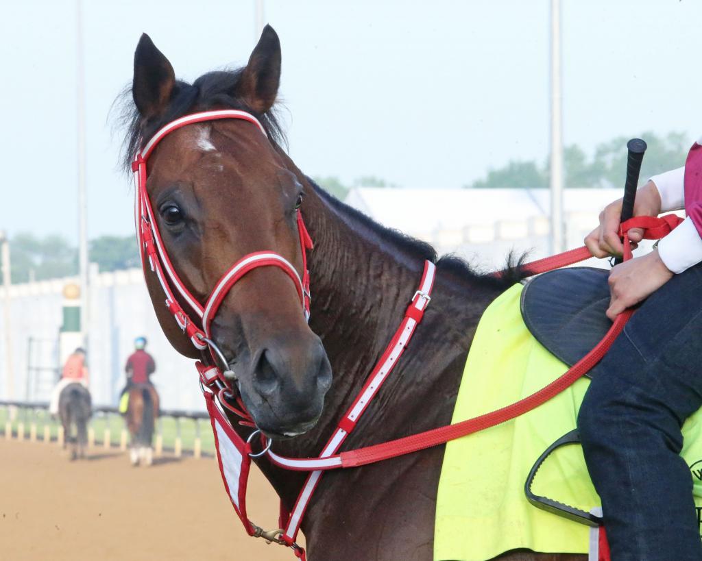 Kentucky Derby Presented by Woodford Reserve third-place finisher Forever Young (Coady Photography)