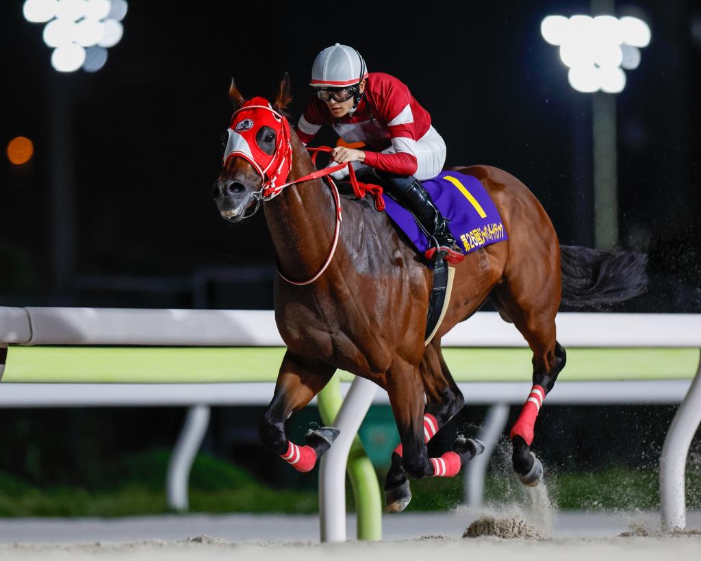 Kentucky Derby Presented by Woodford Reserve third-place finisher Forever Young (Mazakazu Takahashi)