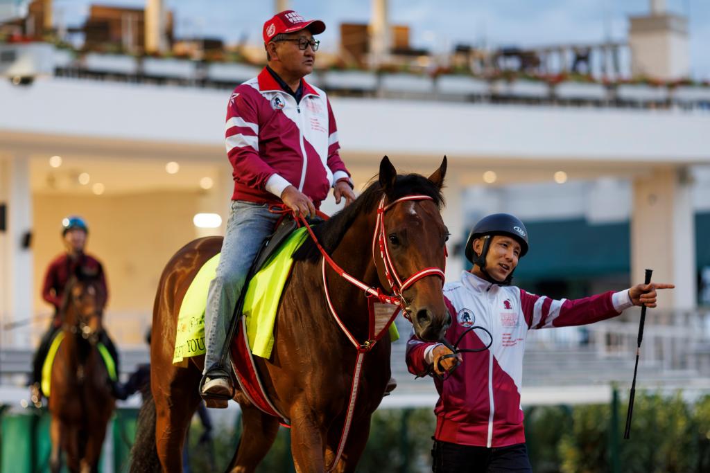 Forever Young saddled by trainer Yashito Yahagi (Eclipse Sportswire)