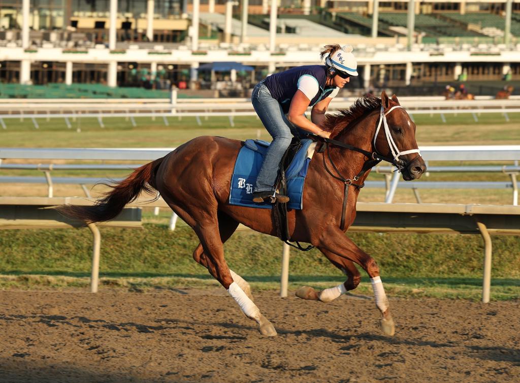 Jockey Club Gold Cup Stakes winner Highland Falls (Bill Denver/EQUI-PHOTO)