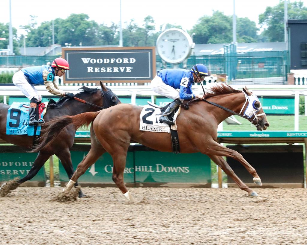 Jockey Club Gold Cup Stakes winner Highland Falls (Coady Media)
