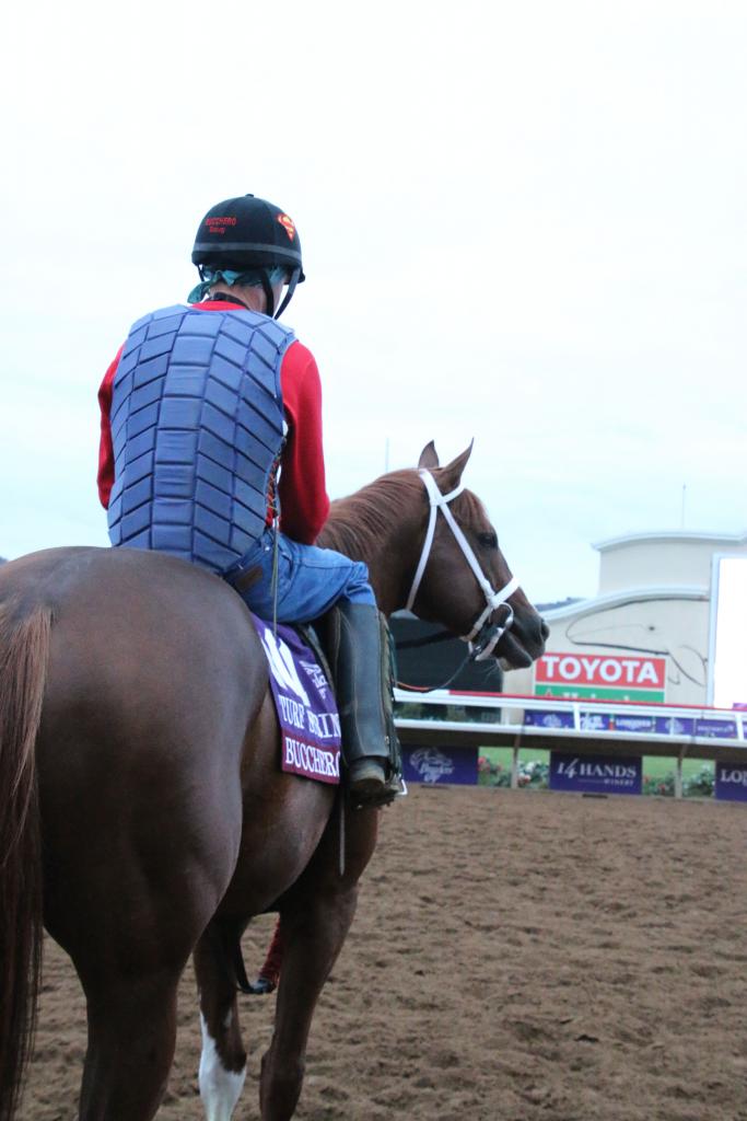 Taking it all in during the morning workouts. (Julie June Stewart photo)