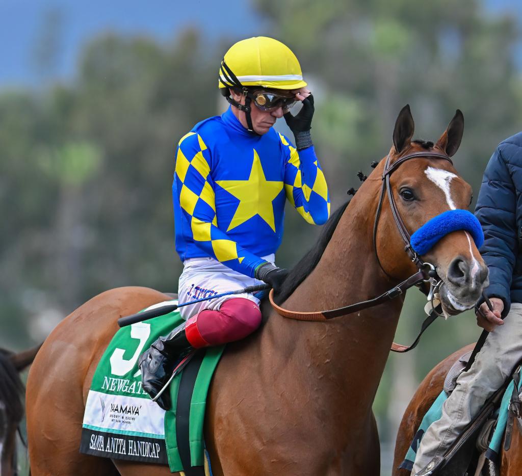 Santa Anita Handicap winner Newgate (Eclipse Sportswire)