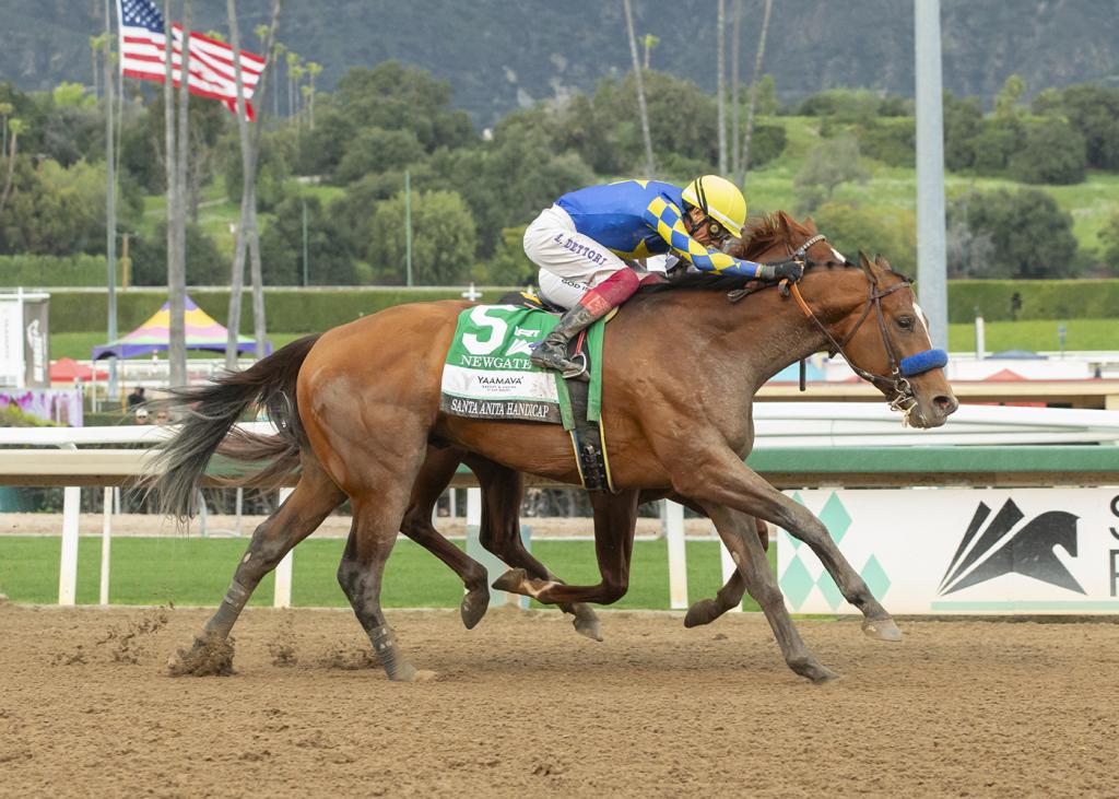 Santa Anita Handicap winner Newgate (BENOIT photo)