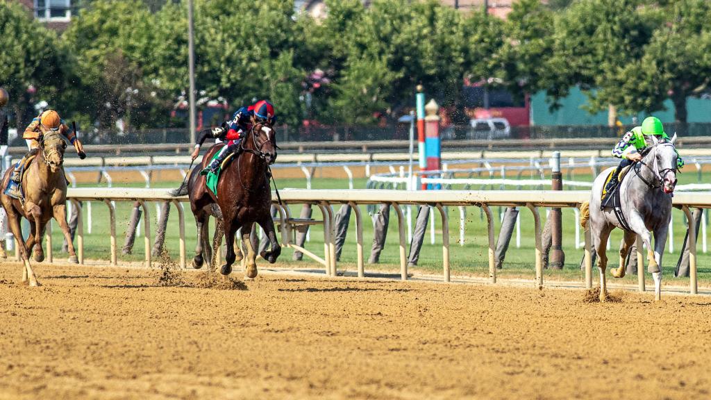 Brooklyn Stakes winner and marathon specialist Next (Eclipse Sportswire)