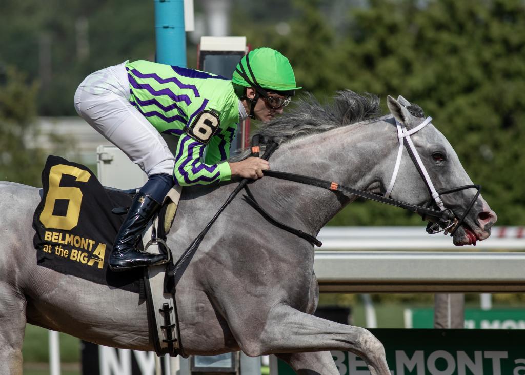 Brooklyn Stakes winner and marathon specialist Next (Eclipse Sportswire)