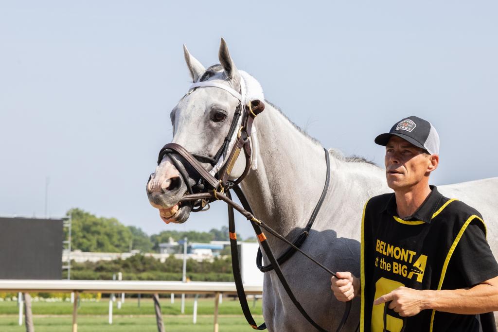 Brooklyn Stakes winner and marathon specialist Next (Walter Wlodarczyk/NYRA)