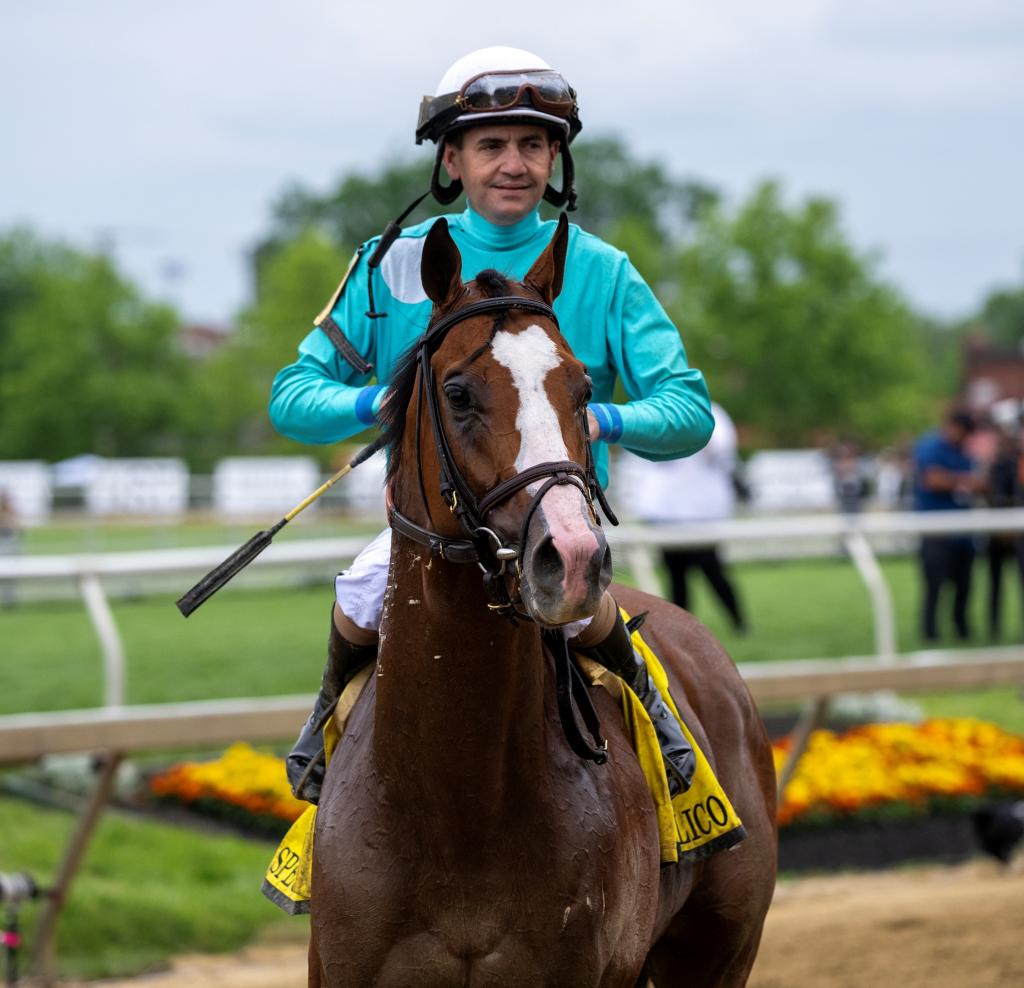Pimlico Special Stakes winner Pyrenees (Skip Dickstein/BloodHorse)
