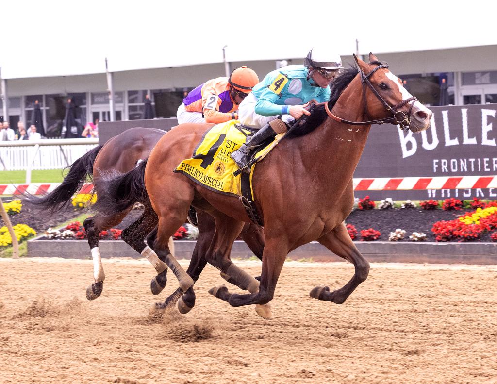 Pimlico Special Stakes winner Pyrenees (Jim McCue/Maryland Jockey Club)