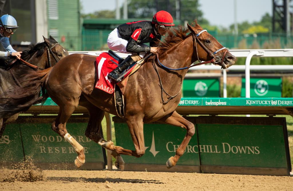 Millionaire and multiple graded stakes winner Rattle N Roll (Eclipse Sportswire)