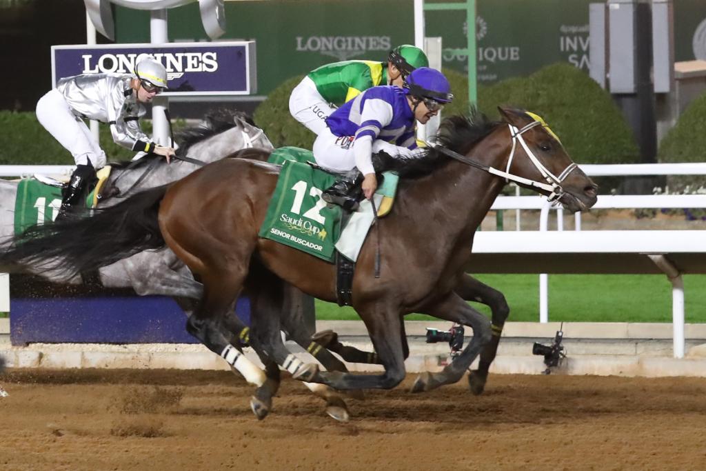 Saudi Cup winner Senor Buscador (Eclipse Sportswire)