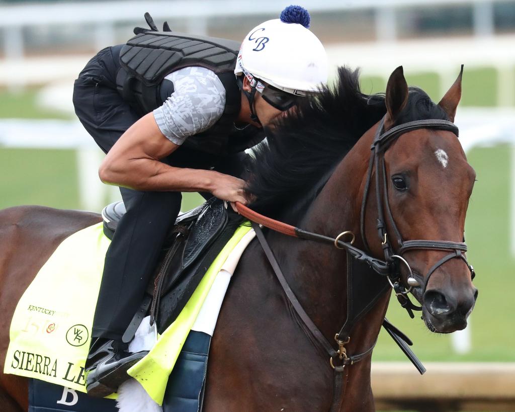 Kentucky Derby Presented by Woodford Reserve runner-up Sierra Leone (Coady Media)
