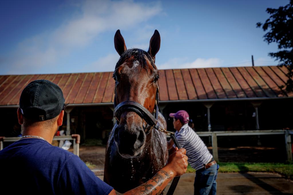 Kentucky Derby Presented by Woodford Reserve runner-up Sierra Leone (Eclipse Sportswire)